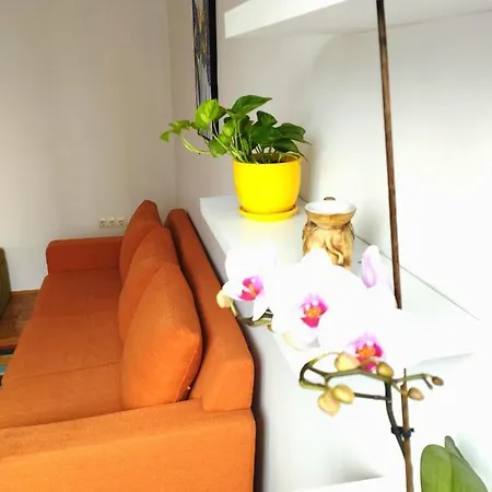 Apartmán Amigo-free Public Parking